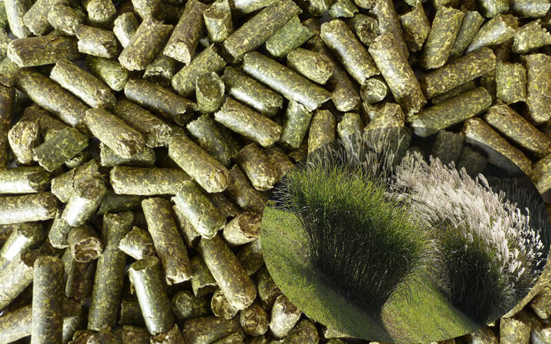 Miscanthus Pellets