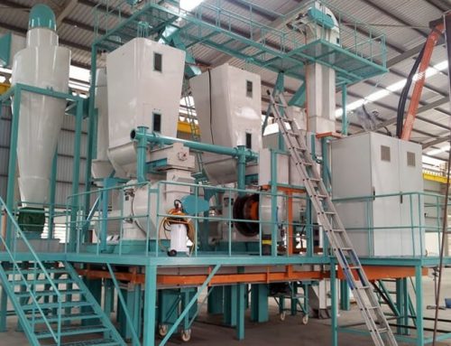 2t/h PKS Pellet Plant