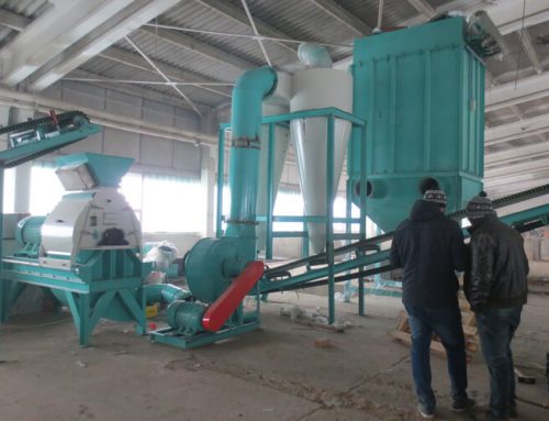 Wood Pellet Production Line in Romania