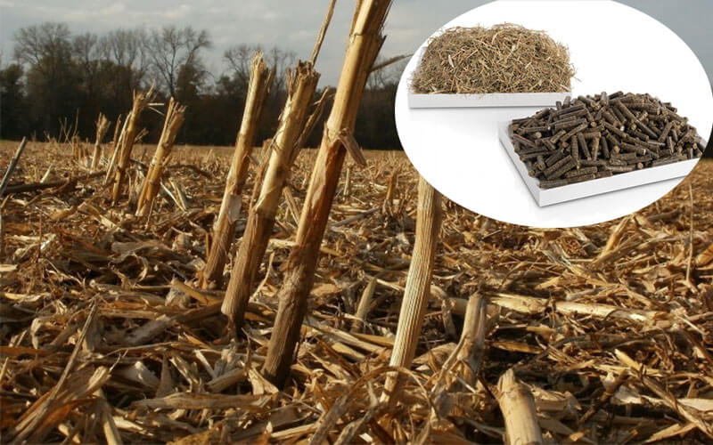 agriculture-waste-pellets