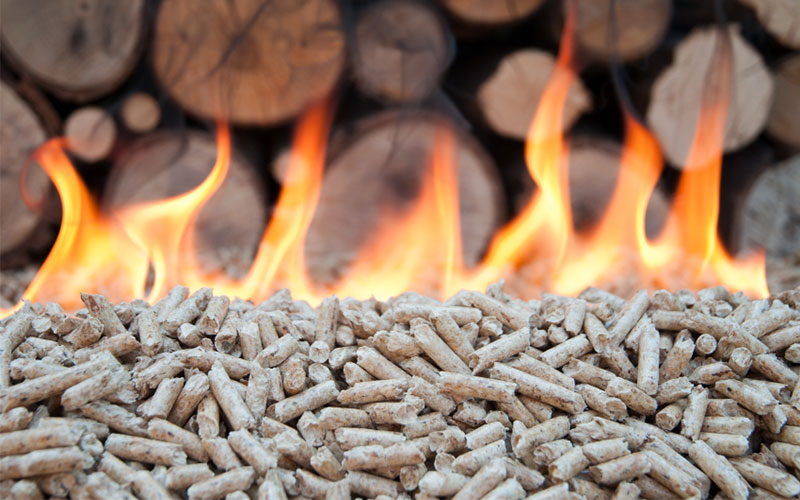 biomass-Pellet co-firing