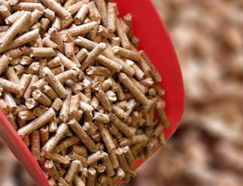 What’s Biomass Pellet and Bio-pellets Species