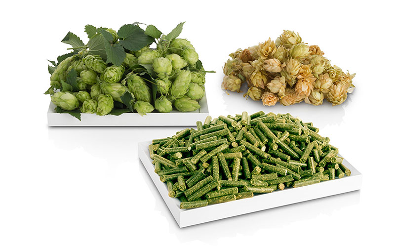 hops-pellets