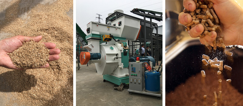 sawdust pellet mill